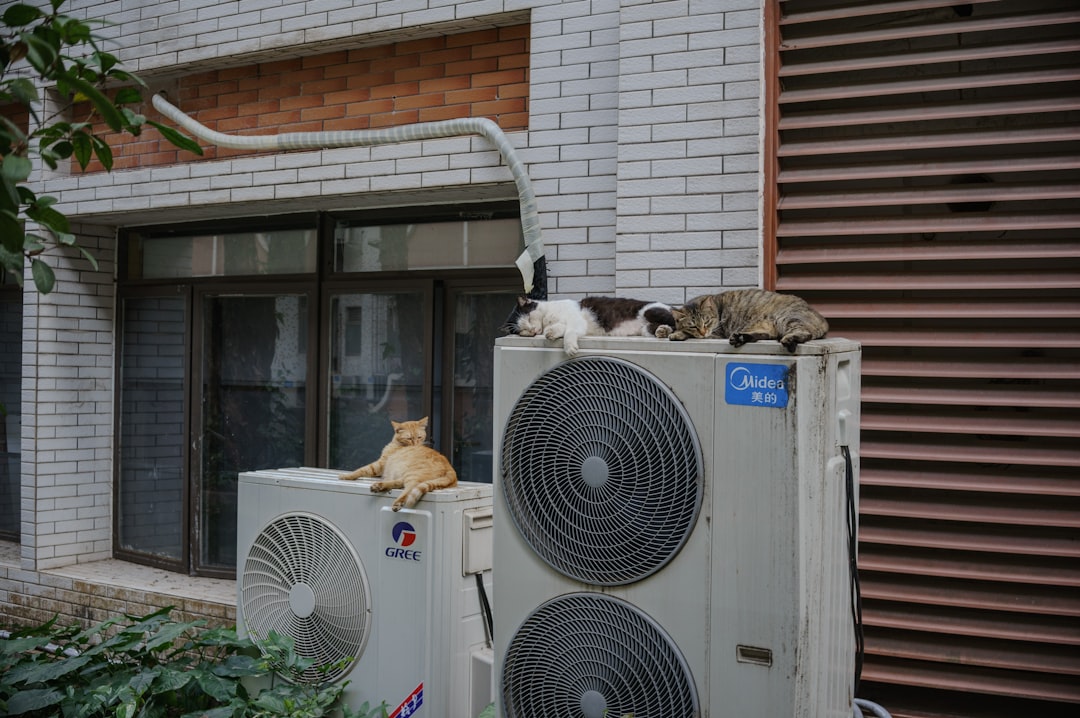 Signs your HVAC system is struggling in the heat and what to do hero image